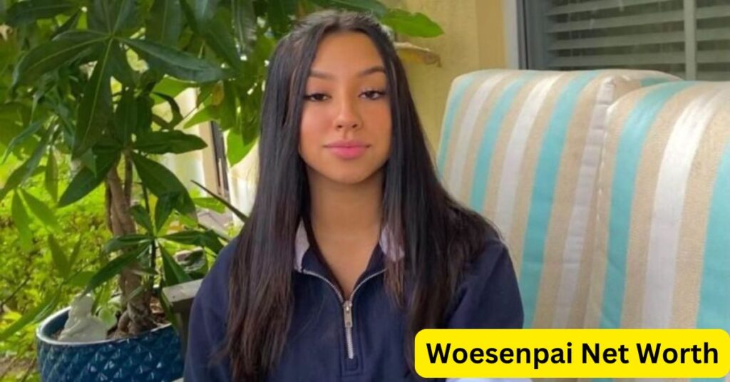 Woesenpai Net Worth